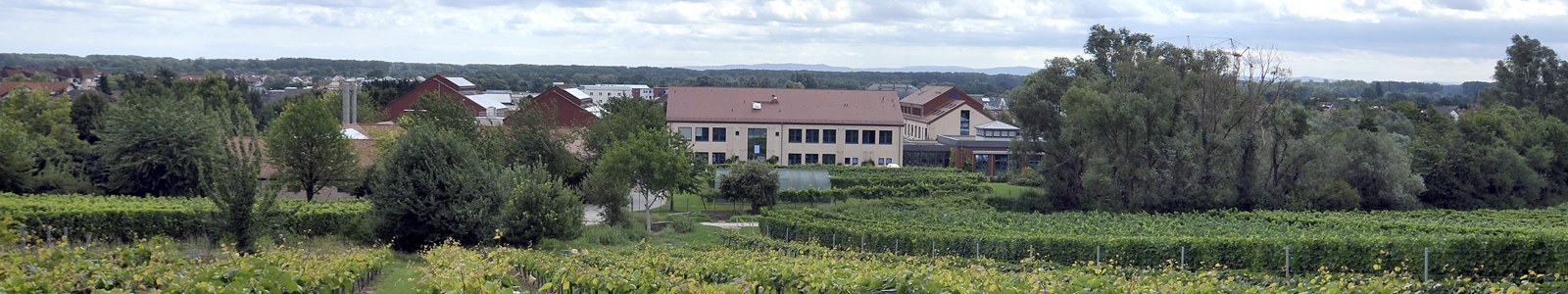 Gebäude der Dienststelle in Oppenheim ©Feuerbach